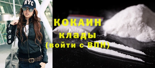 прущие грибы Наволоки