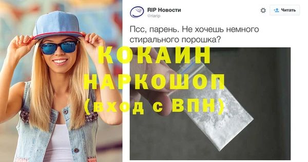 прущие грибы Наволоки