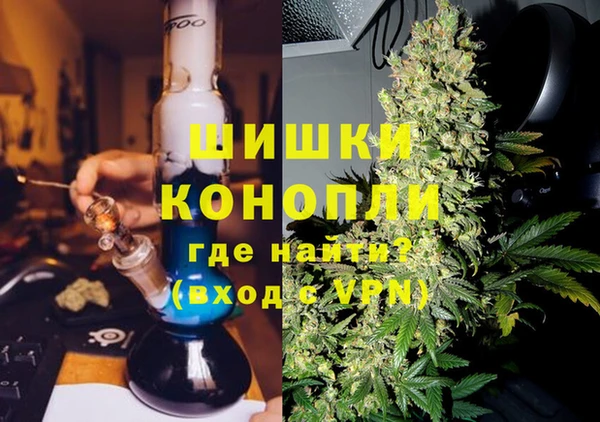 прущие грибы Наволоки