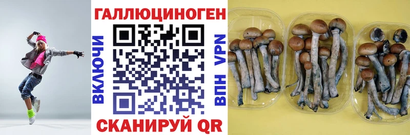 Псилоцибиновые грибы мухоморы  ОМГ ОМГ ссылки  Дно  закладка 