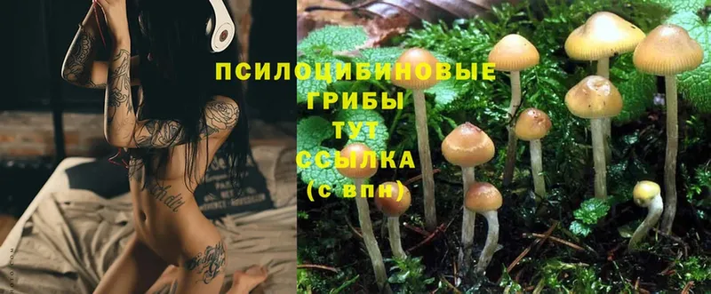 Псилоцибиновые грибы Magic Shrooms  наркошоп  shop клад  Дно 