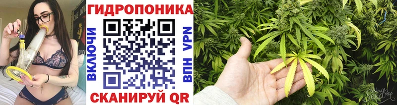 Каннабис Ganja  Дно 